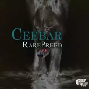 Ceebar - The Marine (AfroTech Mix)